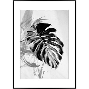 Čiernobiely plagát v ráme Styler Artbox Monstera, 70 x 50 cm