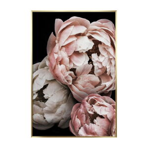 Obraz Styler Artbox Peony, 70 x 50 cm