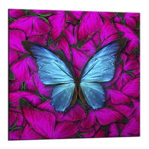 Obraz Styler Glasspik Red Butterfly, 20 × 20 cm