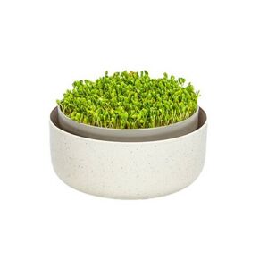 Plastia Microgreens, slonová kosť s kávovou usadeninou