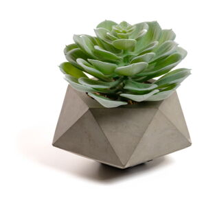 Umelá kvetina Echeveria Glaucha Kave Home