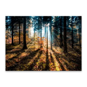 Obraz Styler Glasspik Autumn Sunset, 70 × 100 cm