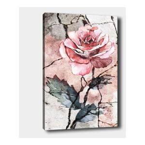 Nástenný obraz na plátne Tablo Center Rose, 40 × 60 cm