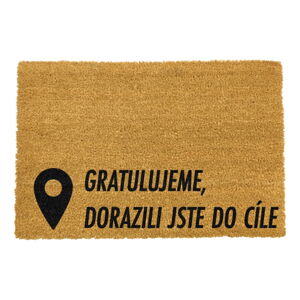 Rohožka z prírodného kokosového vlákna Artsy Doormats Cíl, 40 x 60 cm